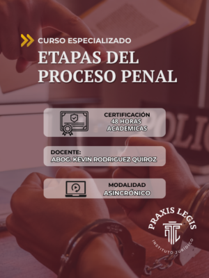 ETAPAS DEL PROCESO PENAL