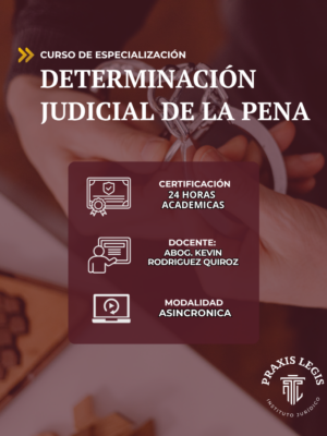 DETERMINACIÓN JUDICIAL DE LA PENA